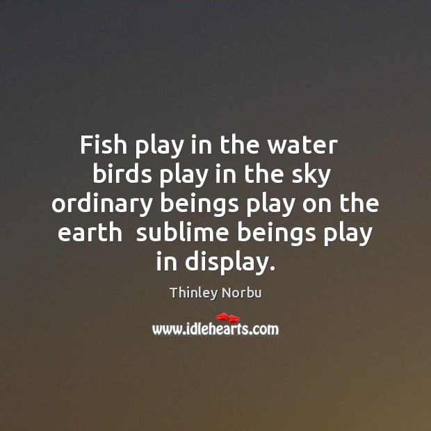 Fish play in the water   birds play in the sky  ordinary beings Thinley Norbu Picture Quote