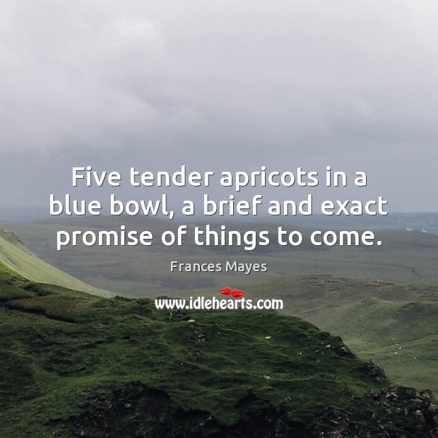 Five tender apricots in a blue bowl, a brief and exact promise of things to come. Frances Mayes Picture Quote