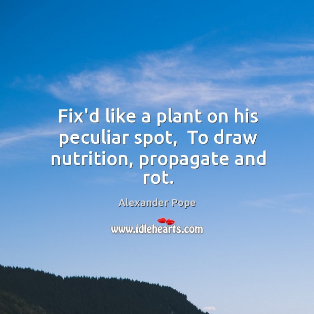 Fix’d like a plant on his peculiar spot,  To draw nutrition, propagate and rot. Alexander Pope Picture Quote