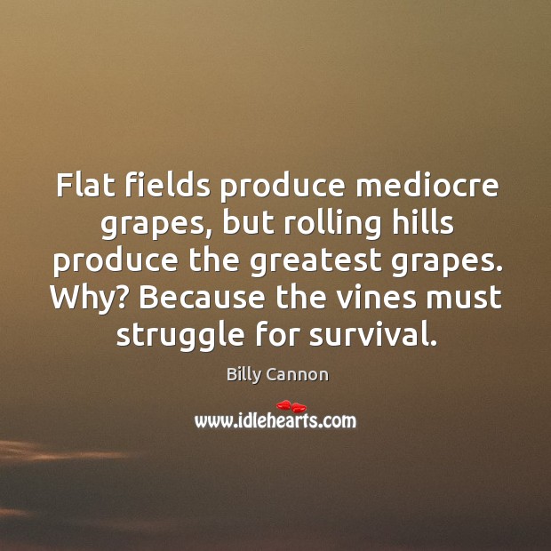 Flat fields produce mediocre grapes, but rolling hills produce the greatest grapes. Billy Cannon Picture Quote