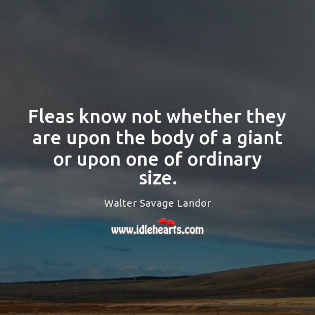 Fleas know not whether they are upon the body of a giant or upon one of ordinary size. Walter Savage Landor Picture Quote