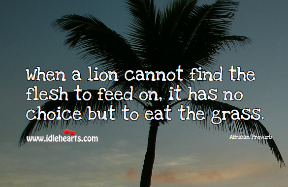 When a lion cannot find the flesh to feed on, it has no choice but to eat the grass. African Proverbs Image