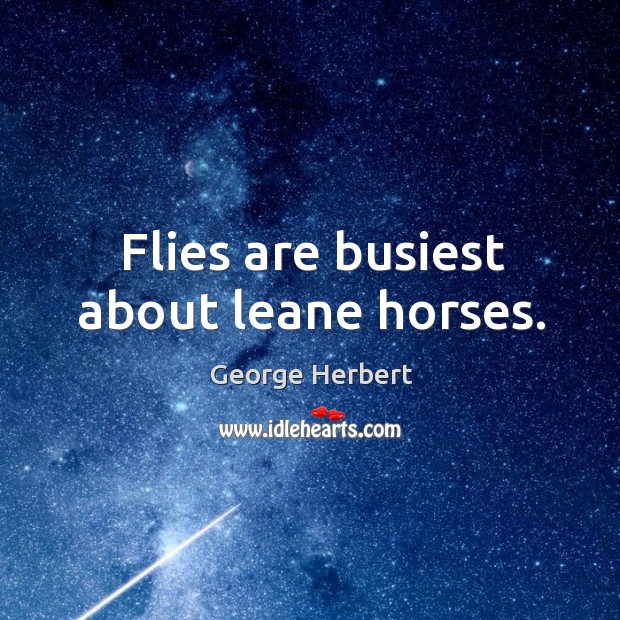 Flies are busiest about leane horses. George Herbert Picture Quote