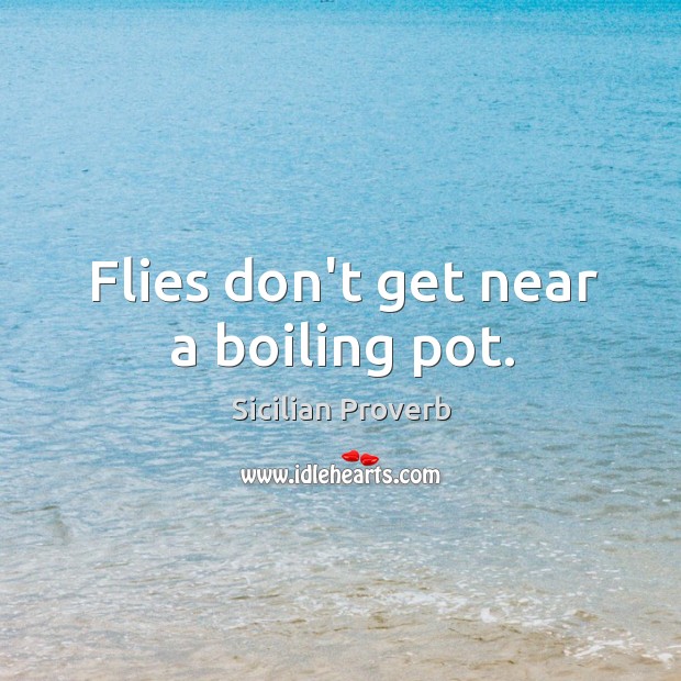 Flies don’t get near a boiling pot. Sicilian Proverbs Image