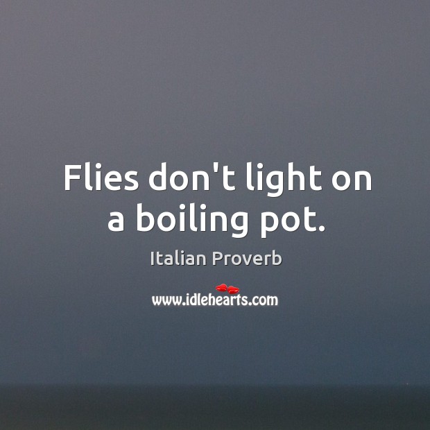 Flies don’t light on a boiling pot. Image