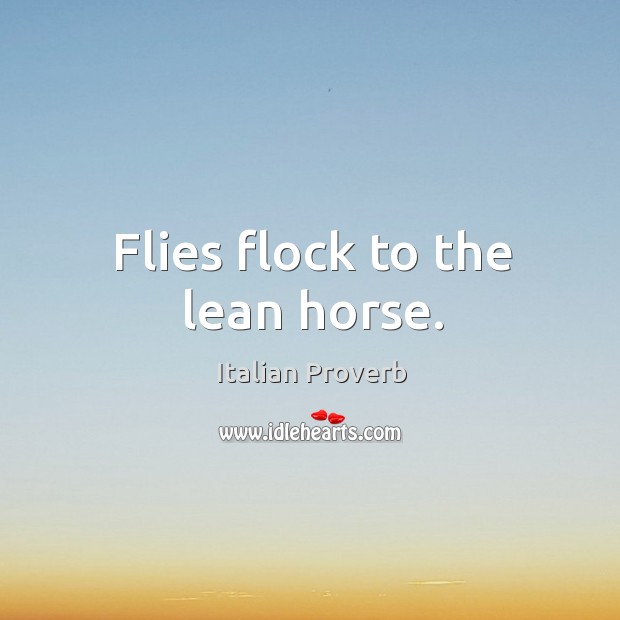 Flies flock to the lean horse. Image
