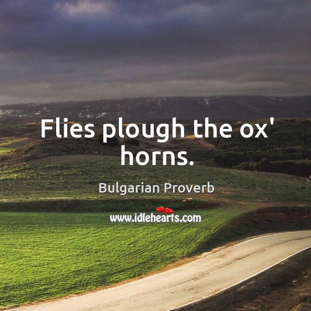 Flies plough the ox’ horns. Bulgarian Proverbs Image