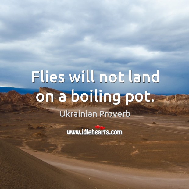 Flies will not land on a boiling pot. Ukrainian Proverbs Image