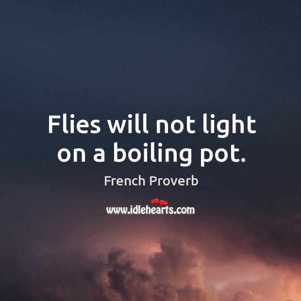 Flies will not light on a boiling pot. Image