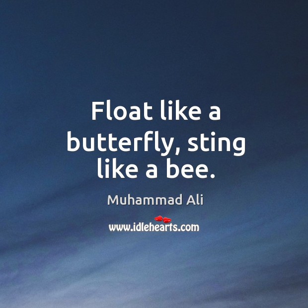 Float like a butterfly, sting like a bee. Image