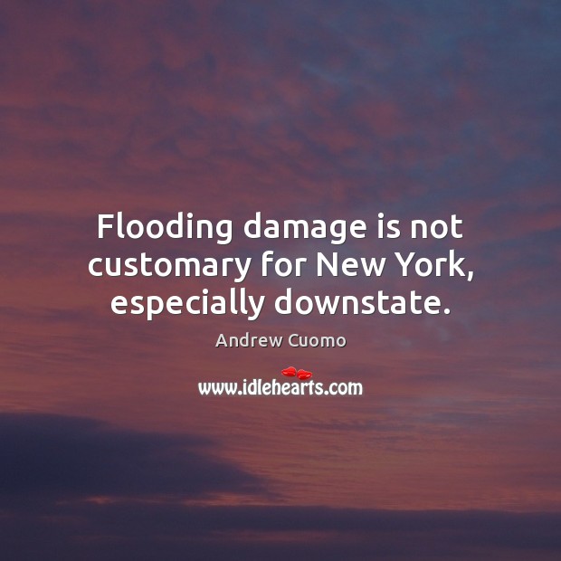 Flooding damage is not customary for New York, especially downstate. Andrew Cuomo Picture Quote
