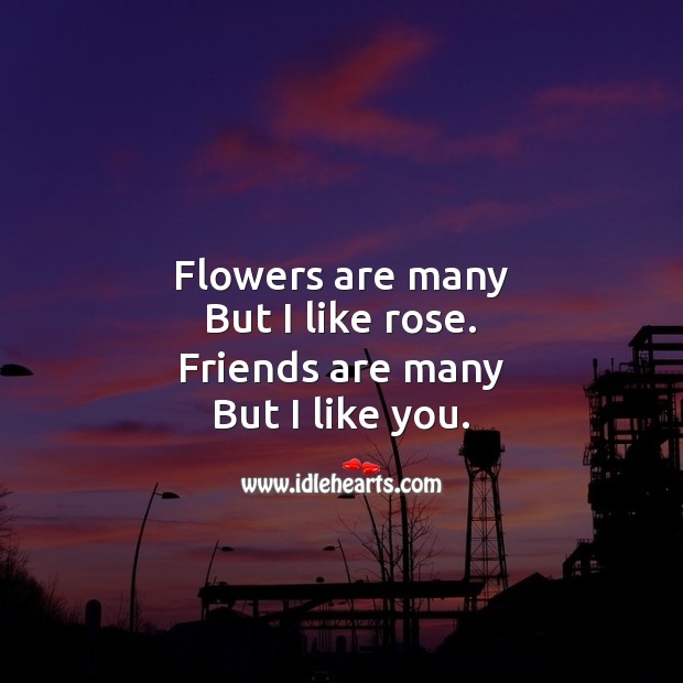 Flower are many but I like rose. Friendship Messages Image
