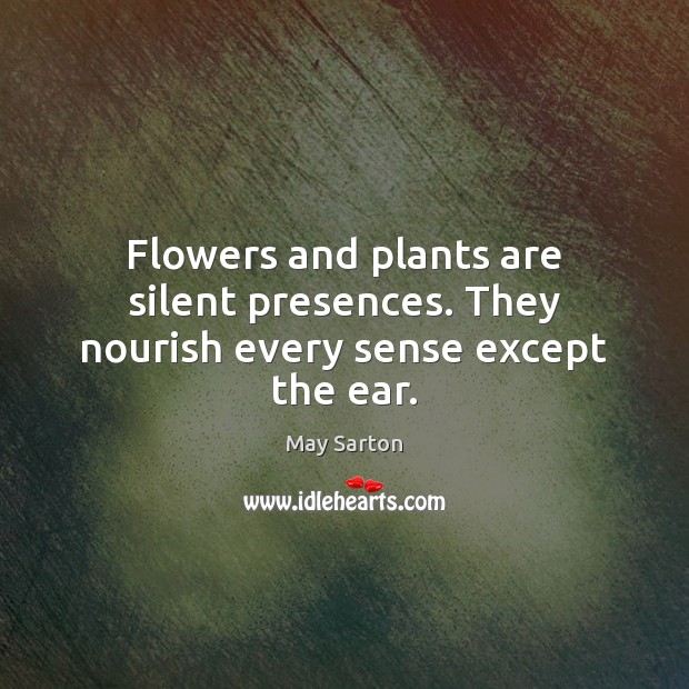 Flowers and plants are silent presences. They nourish every sense except the ear. Image