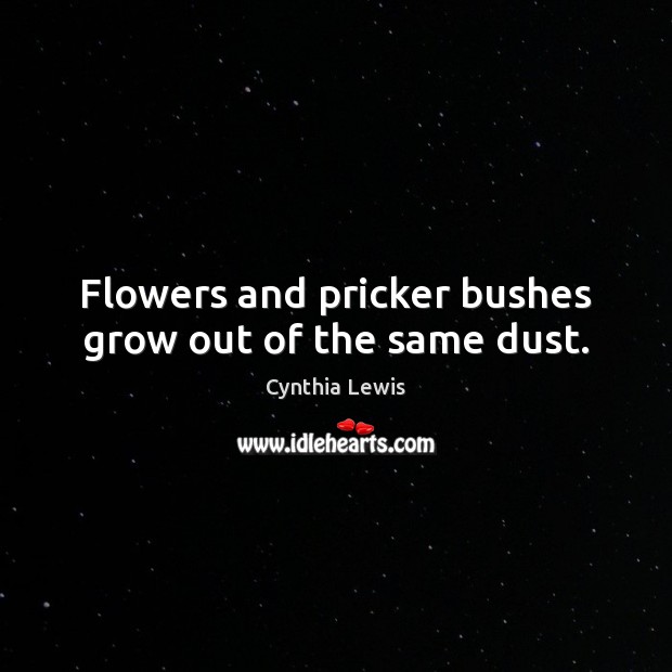 Flowers and pricker bushes grow out of the same dust. Cynthia Lewis Picture Quote