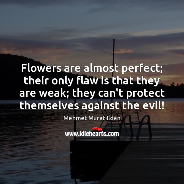Flowers are almost perfect; their only flaw is that they are weak; Mehmet Murat Ildan Picture Quote