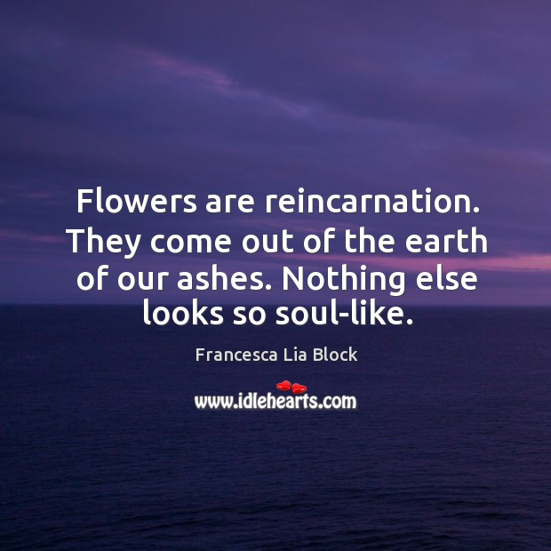 Flowers are reincarnation. They come out of the earth of our ashes. Image