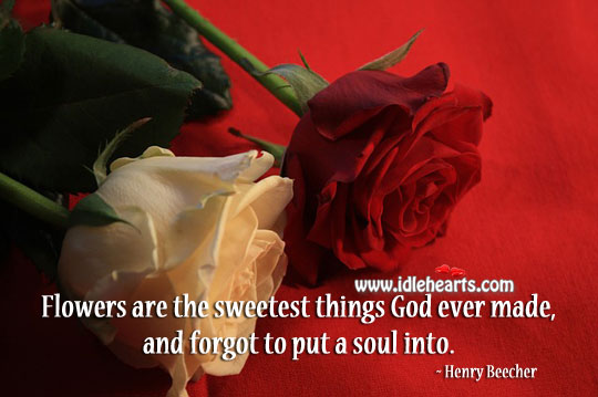 Flowers are the sweetest things Henry Beecher Picture Quote