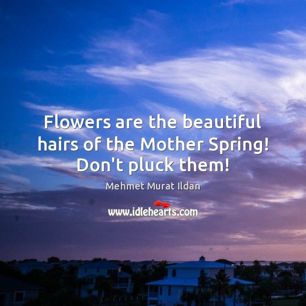 Flowers are the beautiful hairs of the Mother Spring! Don’t pluck them! Image
