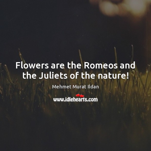Flowers are the Romeos and the Juliets of the nature! Image