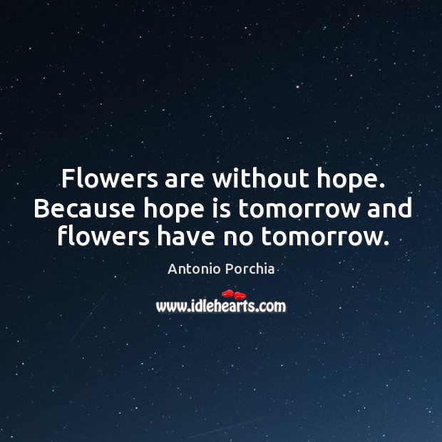 Flowers are without hope. Because hope is tomorrow and flowers have no tomorrow. Hope Quotes Image