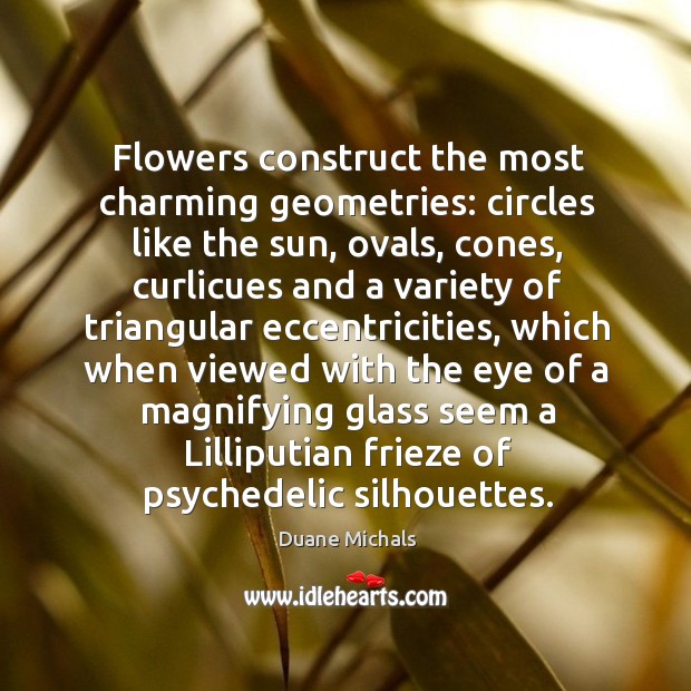 Flowers construct the most charming geometries: circles like the sun, ovals, cones, Duane Michals Picture Quote