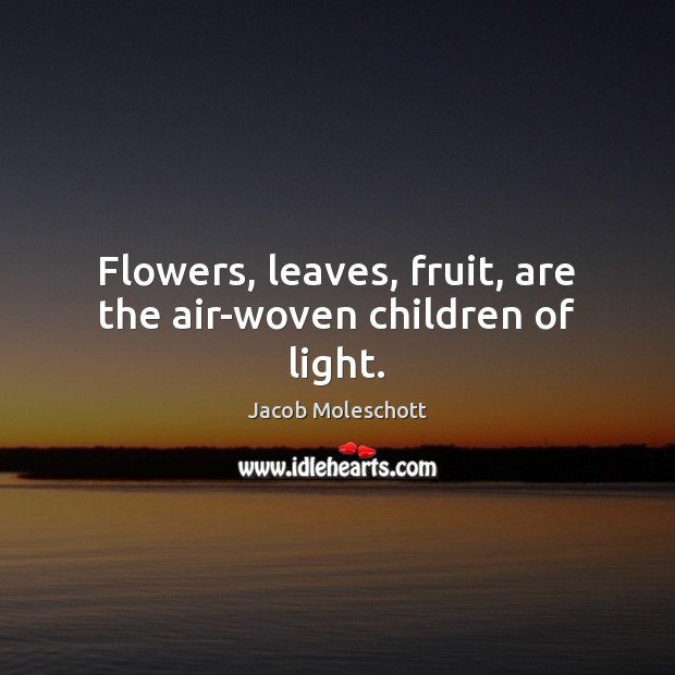 Flowers, leaves, fruit, are the air-woven children of light. Jacob Moleschott Picture Quote