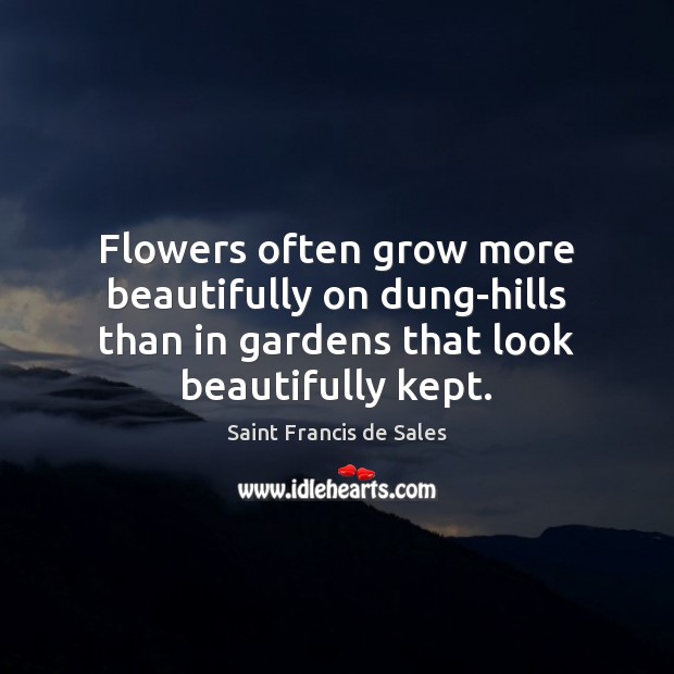 Flowers often grow more beautifully on dung-hills than in gardens that look Image
