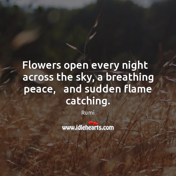 Flowers open every night   across the sky, a breathing peace,   and sudden flame catching. Image