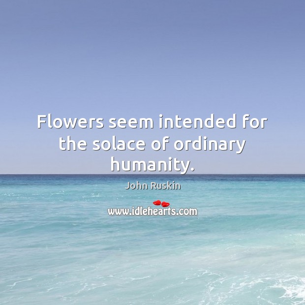Flowers seem intended for the solace of ordinary humanity. John Ruskin Picture Quote
