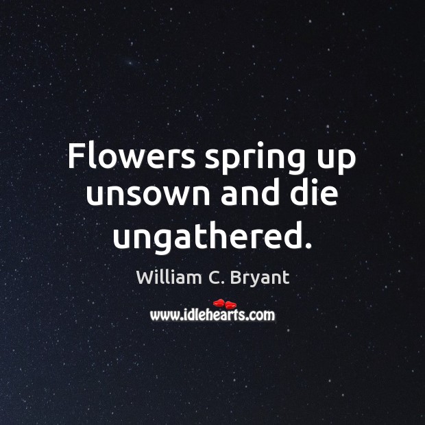 Flowers spring up unsown and die ungathered. William C. Bryant Picture Quote