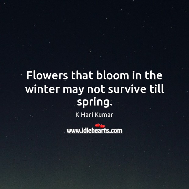 Flowers that bloom in the winter may not survive till spring. K Hari Kumar Picture Quote