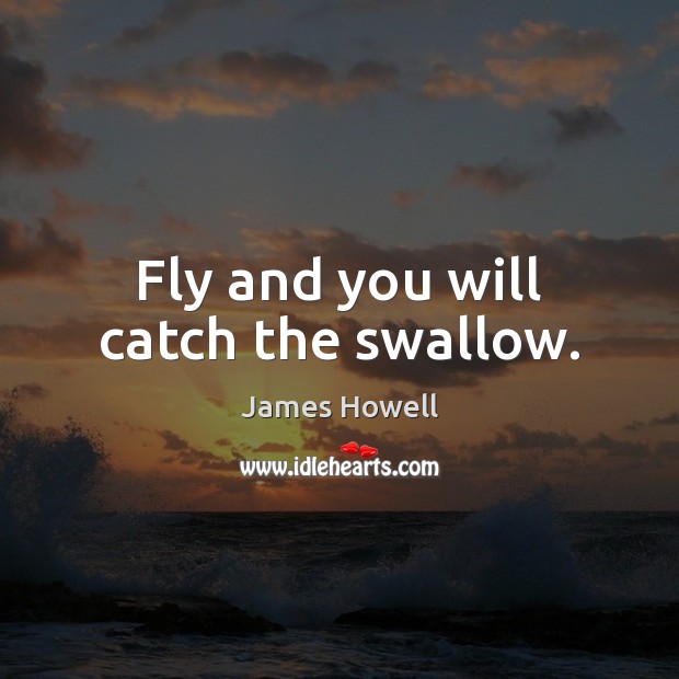 Fly and you will catch the swallow. James Howell Picture Quote