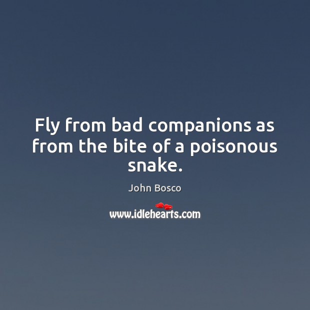 Fly from bad companions as from the bite of a poisonous snake. John Bosco Picture Quote