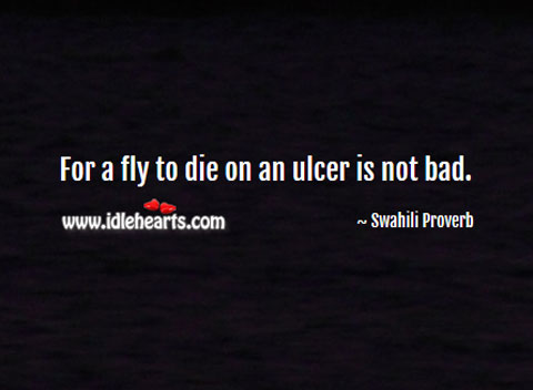 For a fly to die on an ulcer is not bad. Swahili Proverbs Image