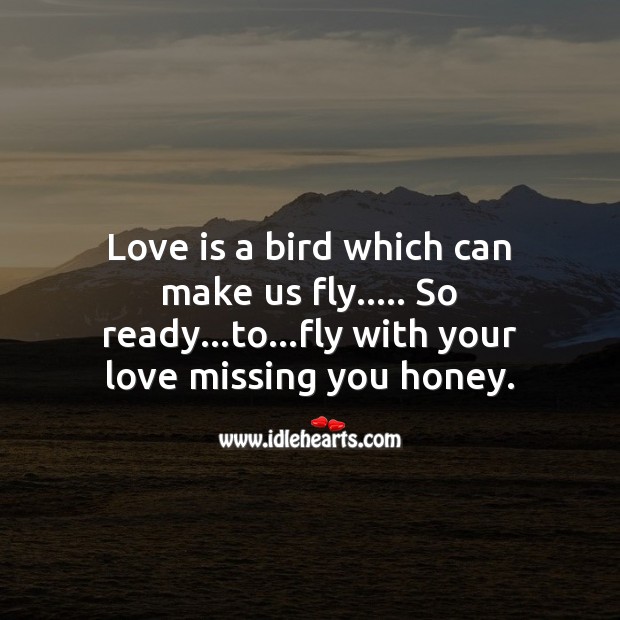 Fly with your love Missing You Quotes Image