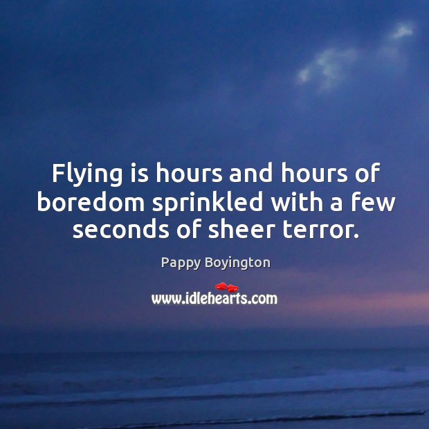 Flying is hours and hours of boredom sprinkled with a few seconds of sheer terror. Image