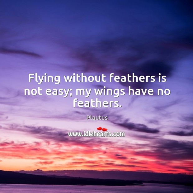 Flying without feathers is not easy; my wings have no feathers. Plautus Picture Quote