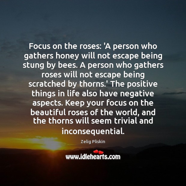 Focus on the roses: ‘A person who gathers honey will not escape Zelig Pliskin Picture Quote