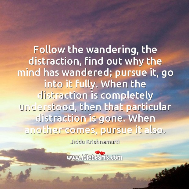 Follow the wandering, the distraction, find out why the mind has wandered; Jiddu Krishnamurti Picture Quote