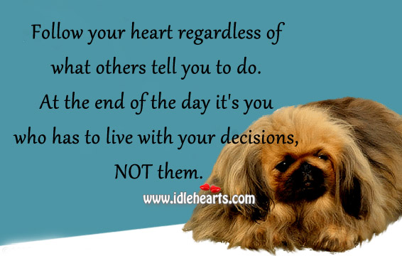 Follow your heart regardless of what others tell you to do. Image