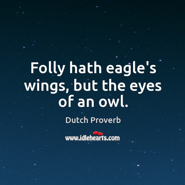 Folly hath eagle’s wings, but the eyes of an owl. Dutch Proverbs Image