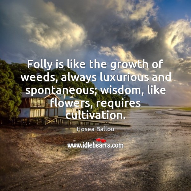 Folly is like the growth of weeds, always luxurious and spontaneous; wisdom, Hosea Ballou Picture Quote