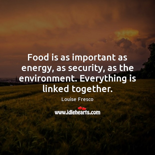 Food is as important as energy, as security, as the environment. Everything Louise Fresco Picture Quote