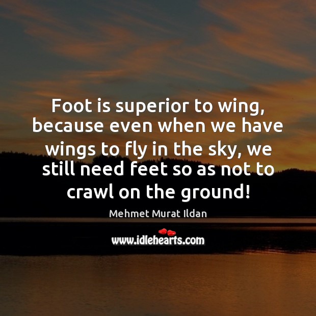 Foot is superior to wing, because even when we have wings to Mehmet Murat Ildan Picture Quote