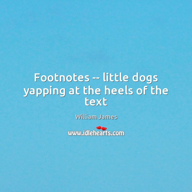 Footnotes — little dogs yapping at the heels of the text William James Picture Quote