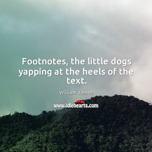 Footnotes, the little dogs yapping at the heels of the text. William James Picture Quote