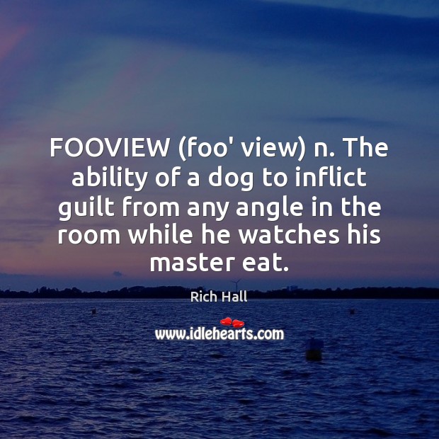 FOOVIEW (foo’ view) n. The ability of a dog to inflict guilt Rich Hall Picture Quote