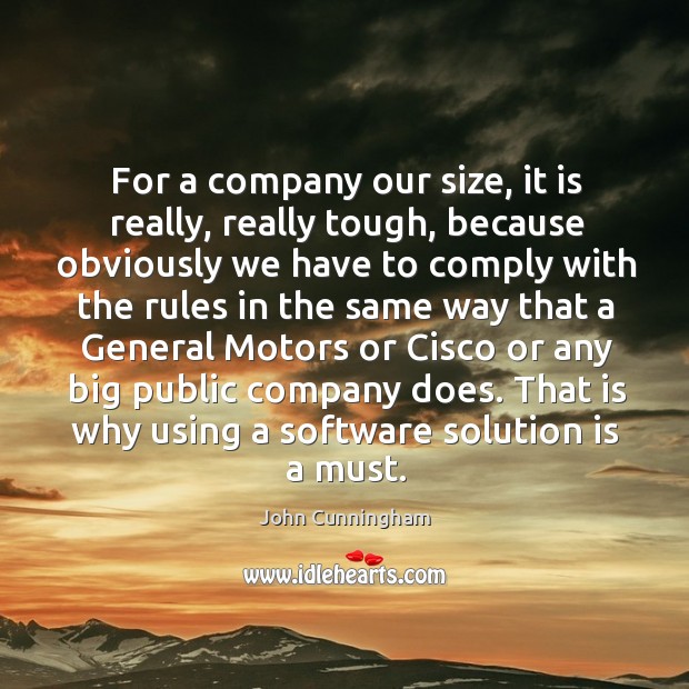 For a company our size, it is really, really tough Solution Quotes Image