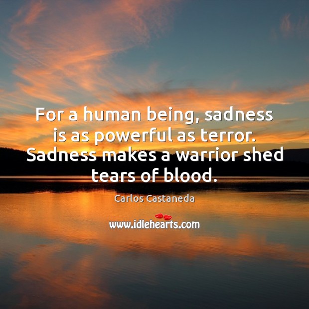 For a human being, sadness is as powerful as terror. Sadness makes Carlos Castaneda Picture Quote