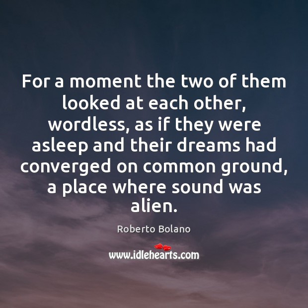 For a moment the two of them looked at each other, wordless, Roberto Bolano Picture Quote
